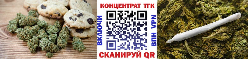 Купить закладки  Староминская  Cannafood конопля 