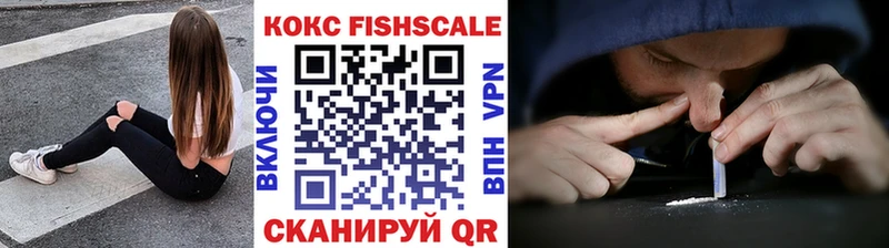 Купить закладки  Староминская  Кокаин Fish Scale 