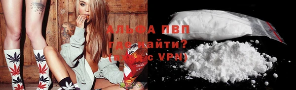 apvp Верея
