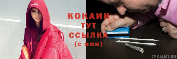 apvp Верея