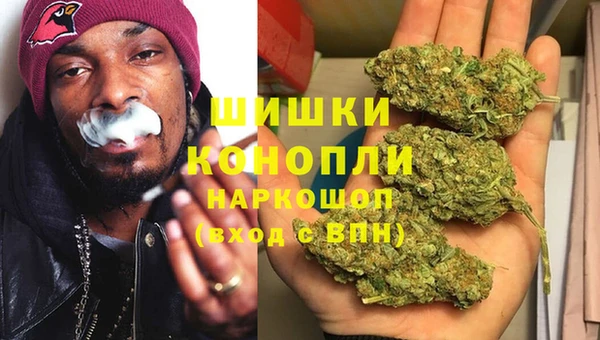 apvp Верея