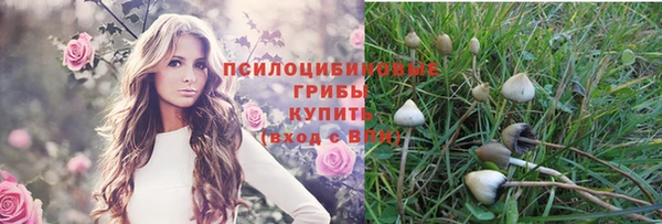 apvp Верея