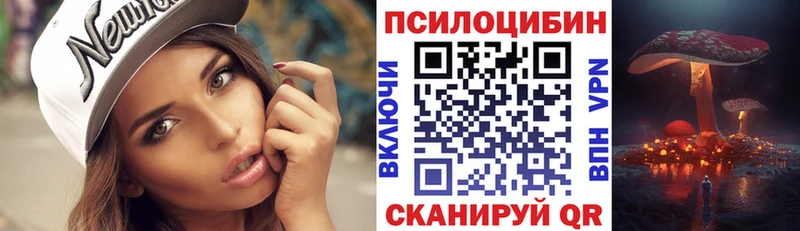 Псилоцибиновые грибы Psilocybe  Купить где  Староминская 