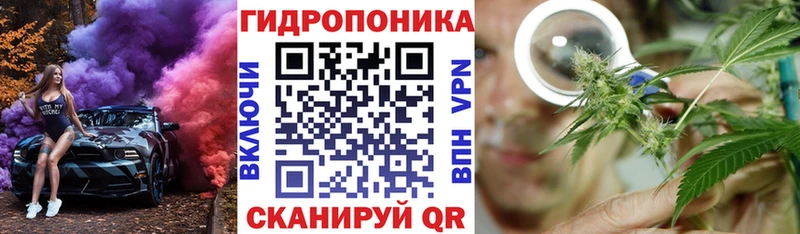 МАРИХУАНА Bruce Banner  Купить закладки  Староминская 